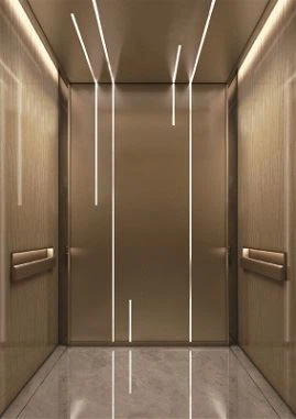 1000kg Gebäude Personenaufzüge