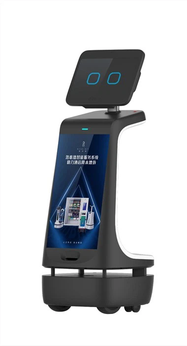 Intelligenter Empfangsroboter C1