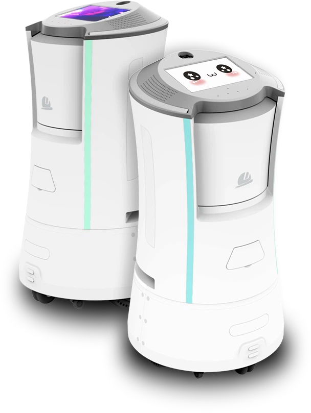 Delivery Goods Smart ROBOT